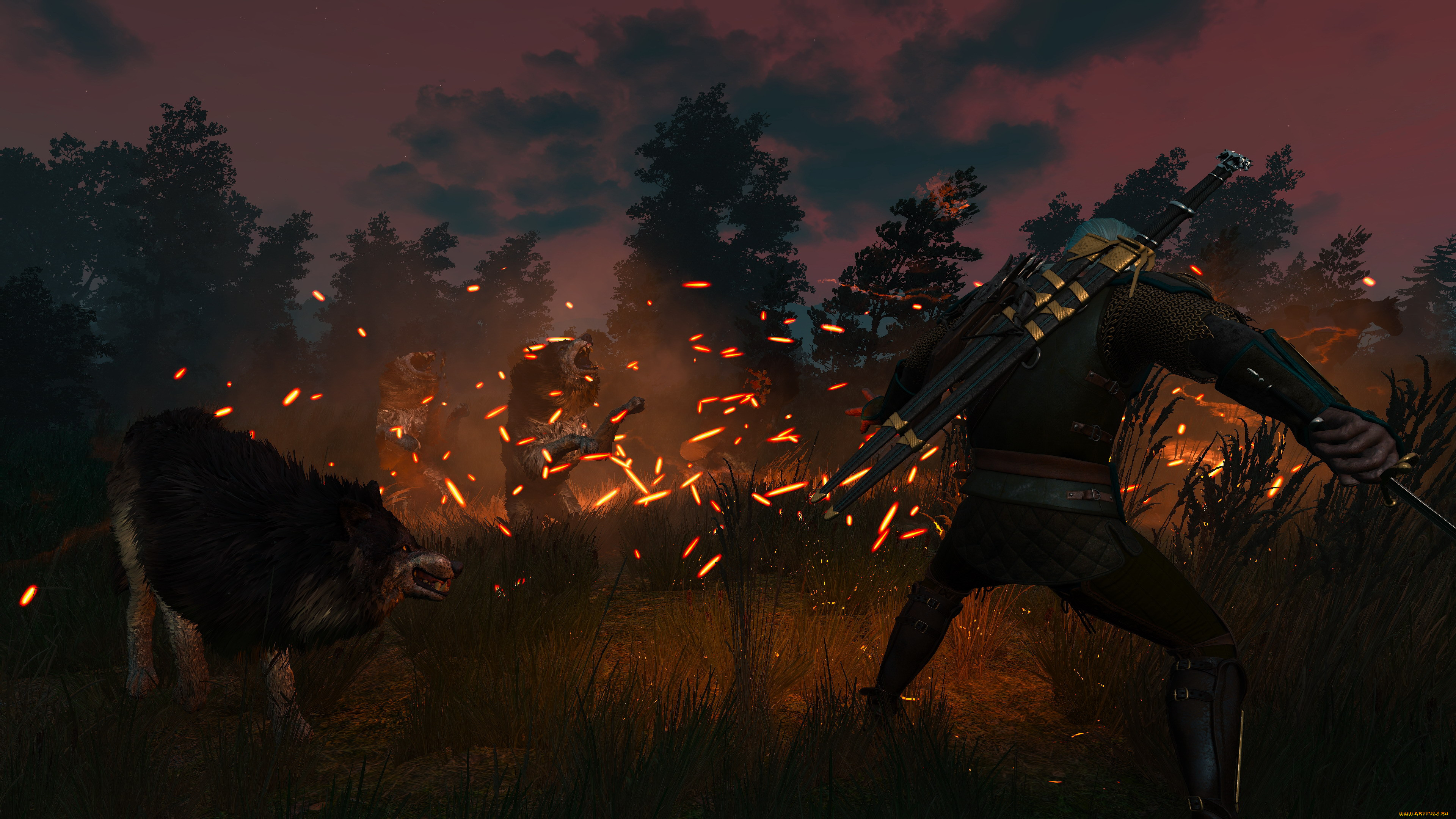  , the witcher 3,  wild hunt, , , , , 